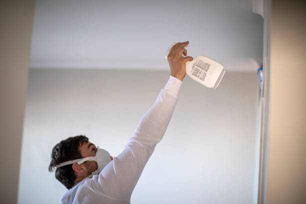Best Fast Mold Removal  in Gray Summit, MO
